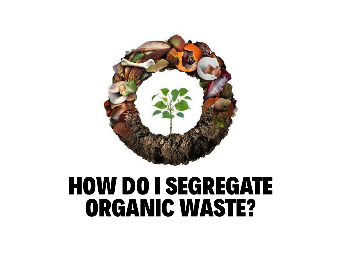 Segregate Organic Waste