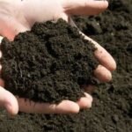highly-effective-100-organic-compost