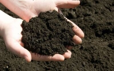 highly-effective-100-organic-compost
