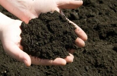 highly-effective-100-organic-compost-561