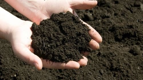 highly-effective-100-organic-compost