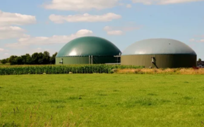 Biogas vs. Other Renewable Energy Sources: A Comparative Analysis