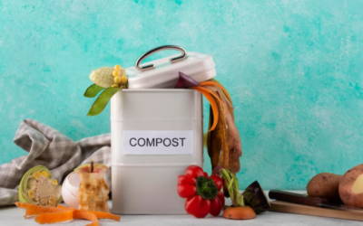 The Dos and Don’ts of Composting: Common Mistakes to Avoid